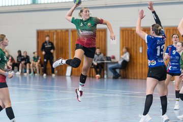 Bild 218 - F HSG Kremperheide/Muensterdorf - HSG Holstein Kiel/Kronshagen : Ergebnis: 31:26